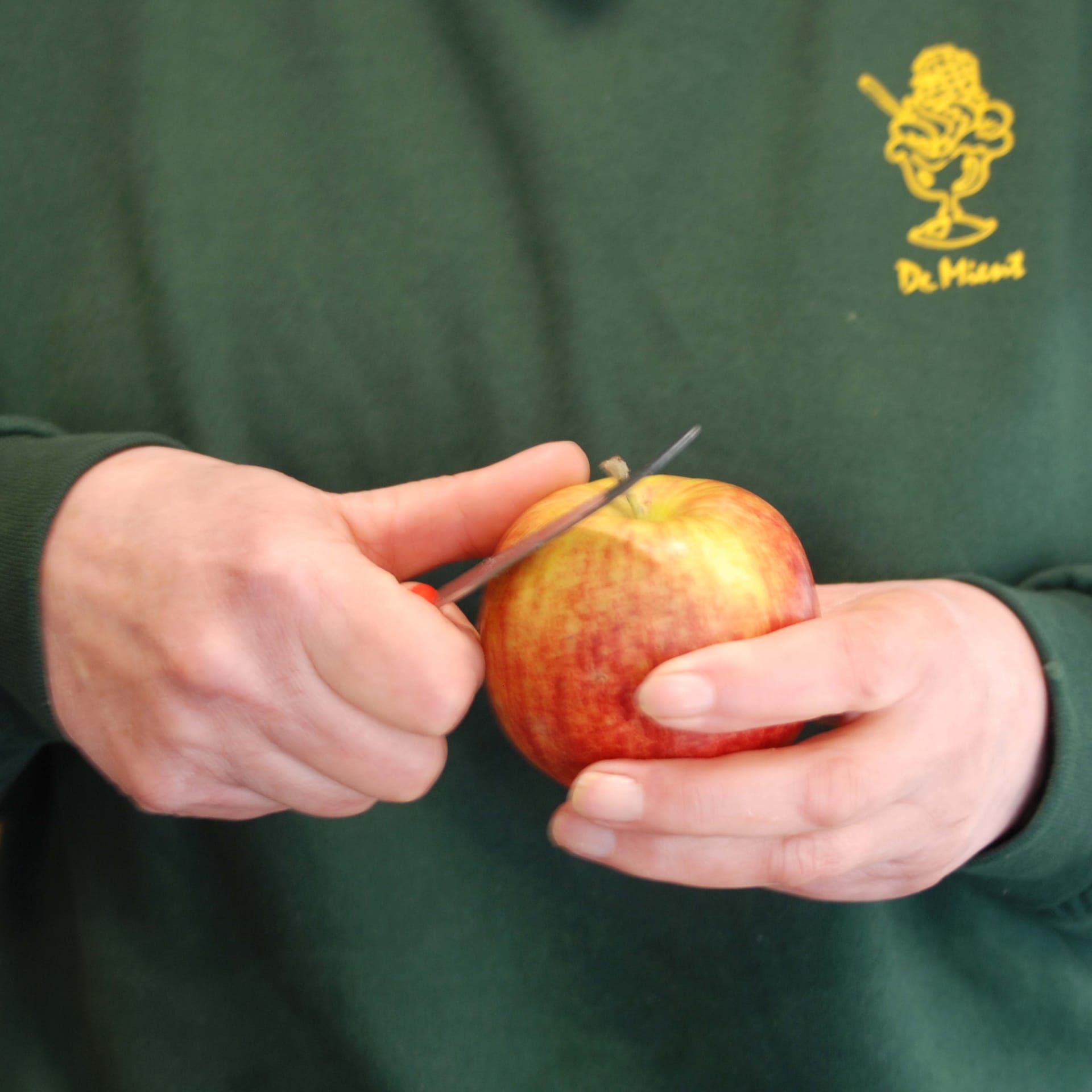Ijssalon de Mient Alkmaar - appels_schillen