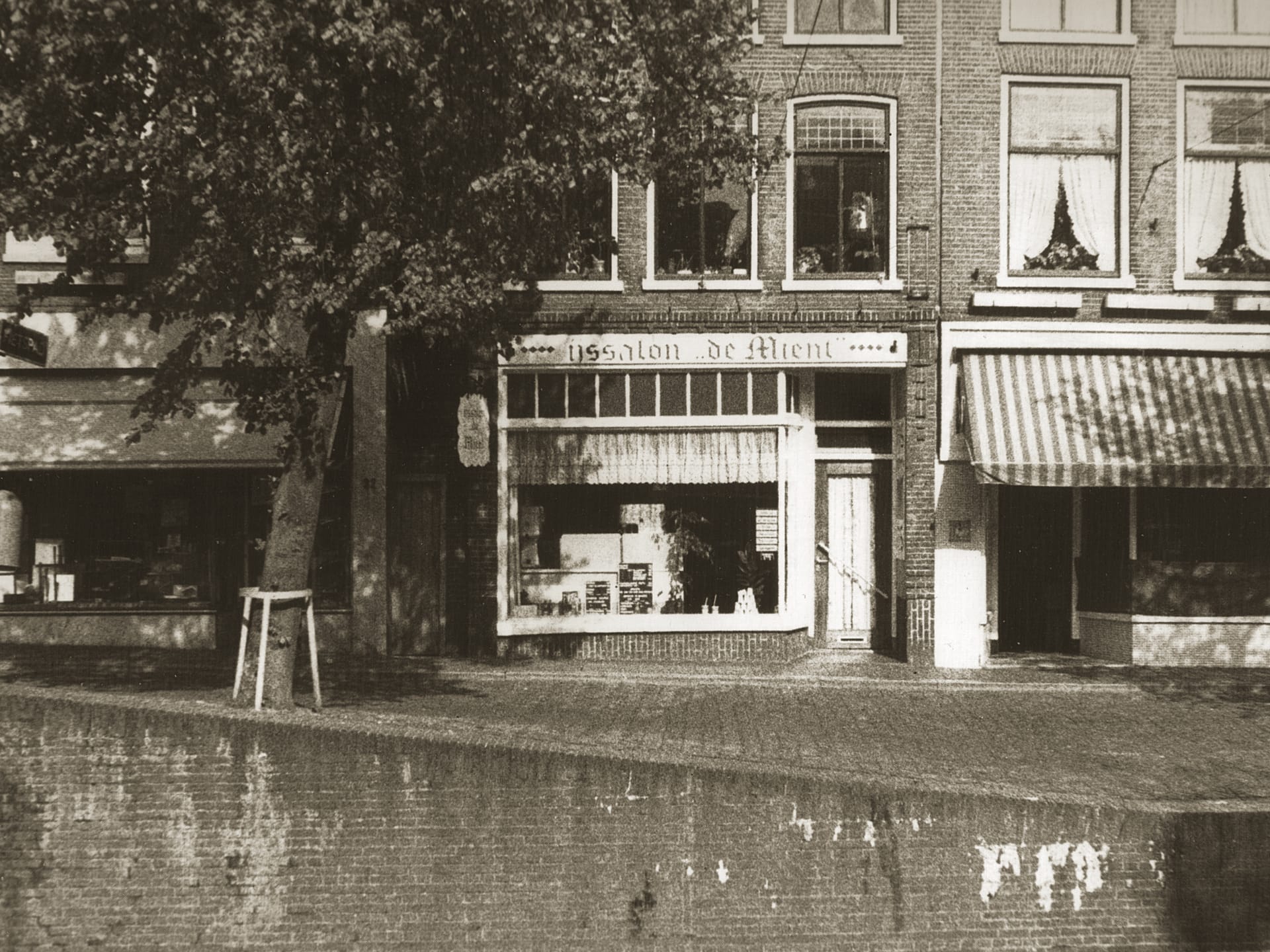 Ijssalon de Mient geschiedenis